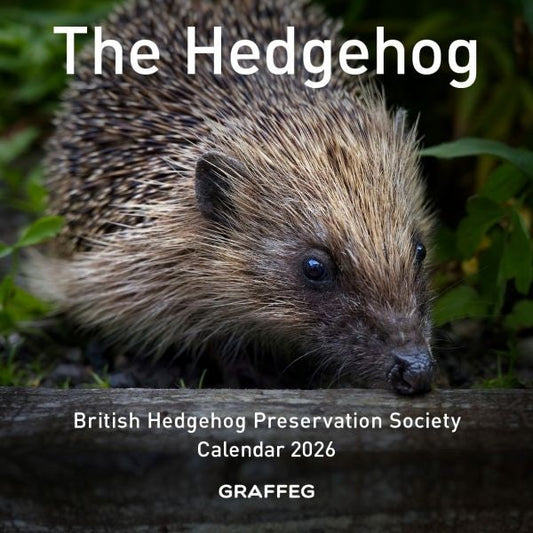 Cover image for The Hedgehog Calendar 2026, isbn: 9781917467223