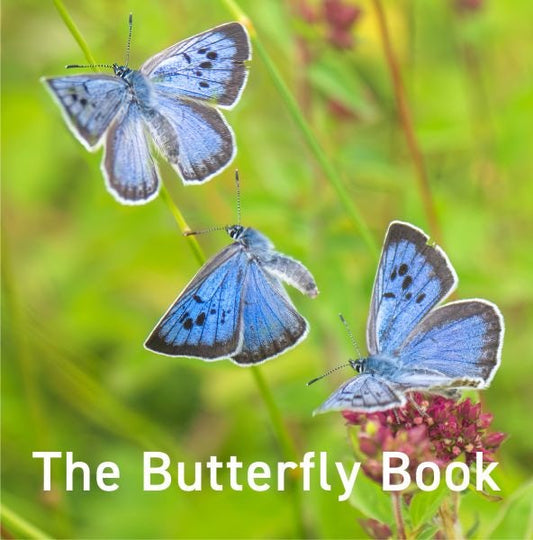 Cover image for The Butterfly Book, isbn: 9781917467421