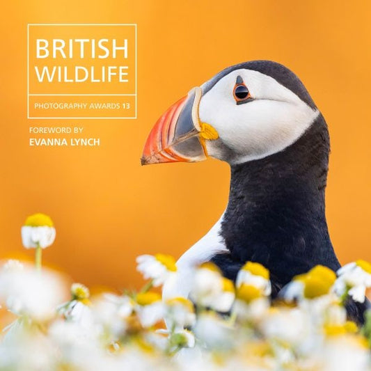 Cover image for British Wildlife Photography Awards 13, isbn: 9781917467582