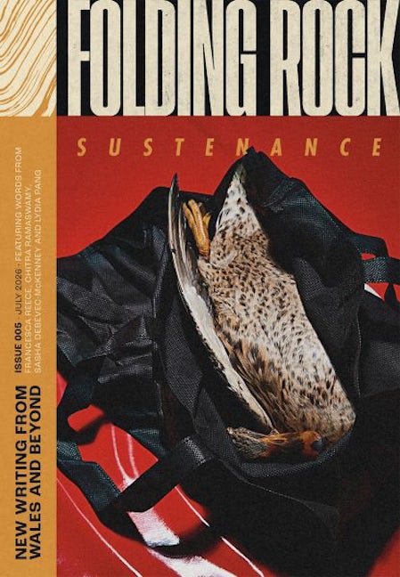 Cover image for Folding Rock 005: Sustenance, isbn: 9781917631082