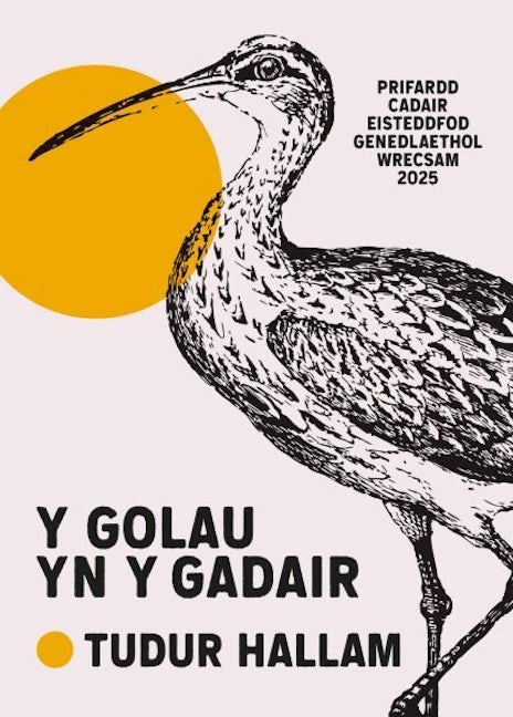 Cover image for Y Golau yn y Gadair, isbn: 9781918015119