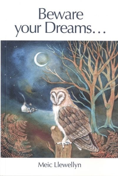 Cover image for Beware your Dreams..., isbn: 9781918101027