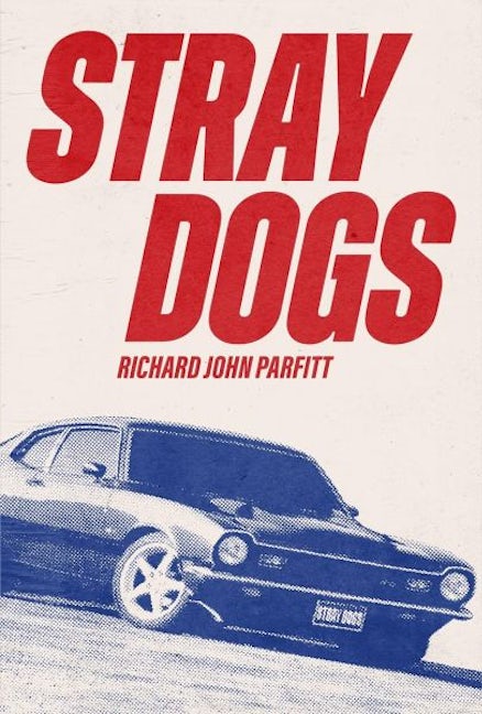 Cover image for Stray Dogs, isbn: 9798986614519