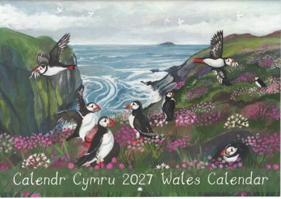 Cover image for Calendr Cymru 2027 Wales Calendar (Driftwood), isbn: DRIFT00005