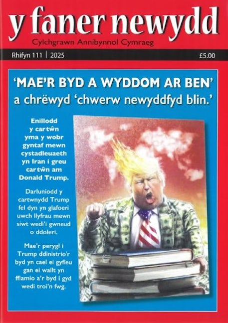 Cover image for Y Faner Newydd 111 (Gwanwyn 2025), isbn: M889898989