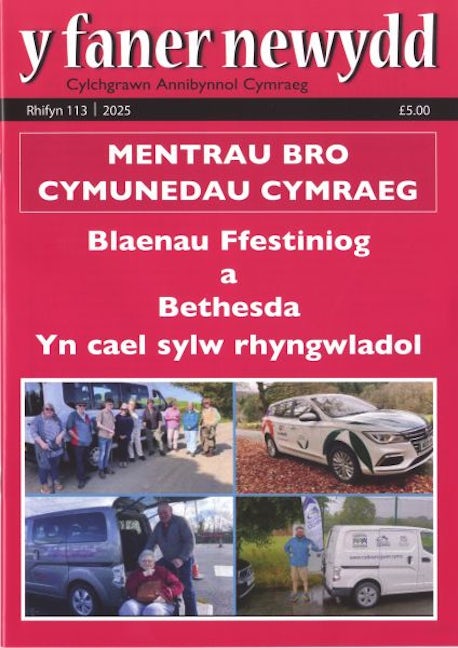 Cover image for Y Faner Newydd 113 (Hydref 2025), isbn: N089898989